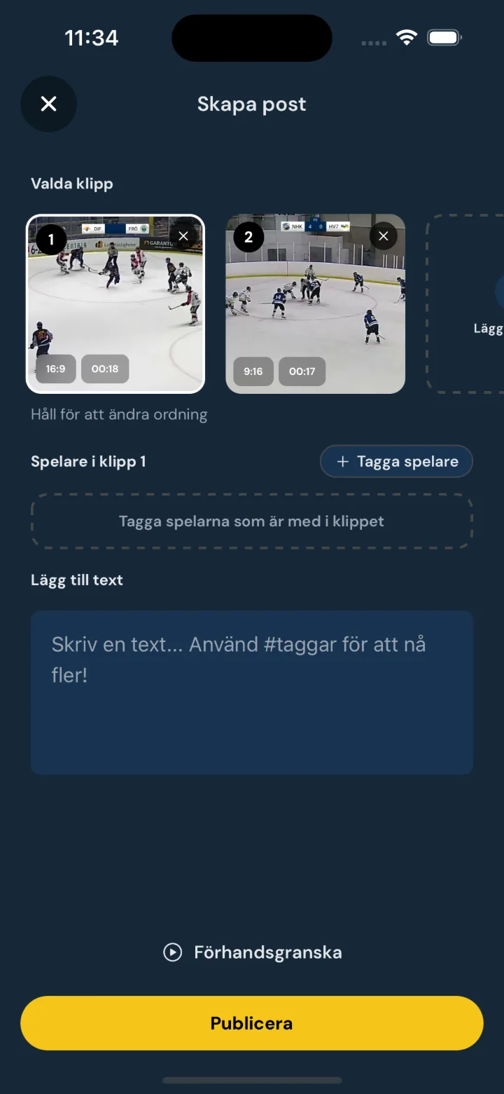 Player profile